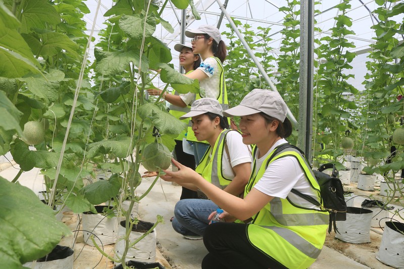 Du lịch nông nghiệp, nông thôn ở Bắc Ninh
