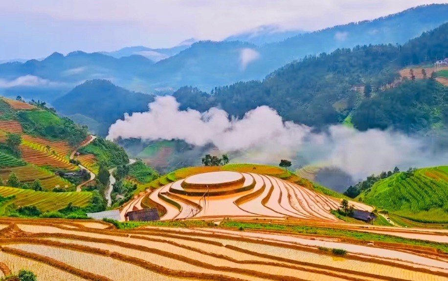 Say mùa nước đổ xứ Mù Cang Chải (Yên Bái)