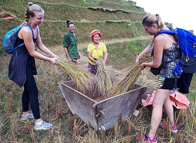 Du lịch kết hợp... làm nông ở Hà Giang