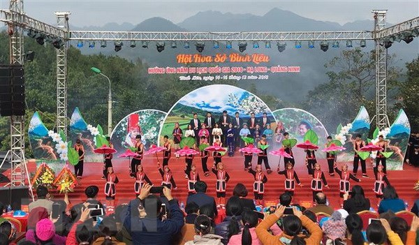 Quảng Ninh: Khai mạc hội hoa Sở với chủ đề Bình Liêu mùa hoa Sở